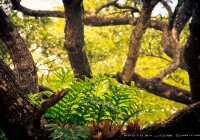 Corregidor-_MG_4087